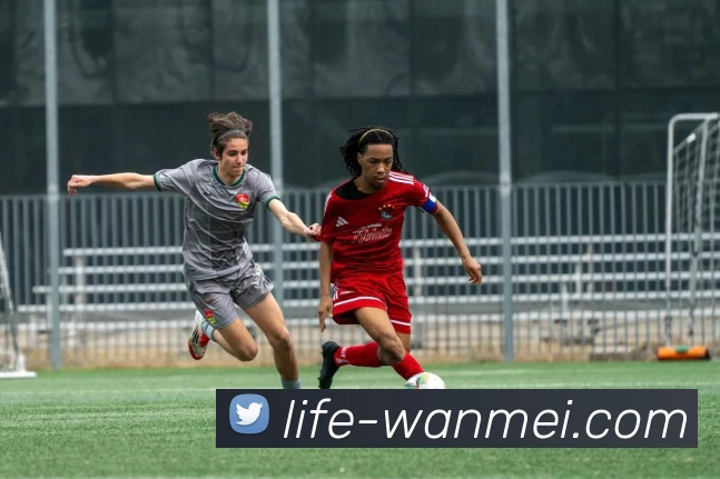 多媒体互动体验