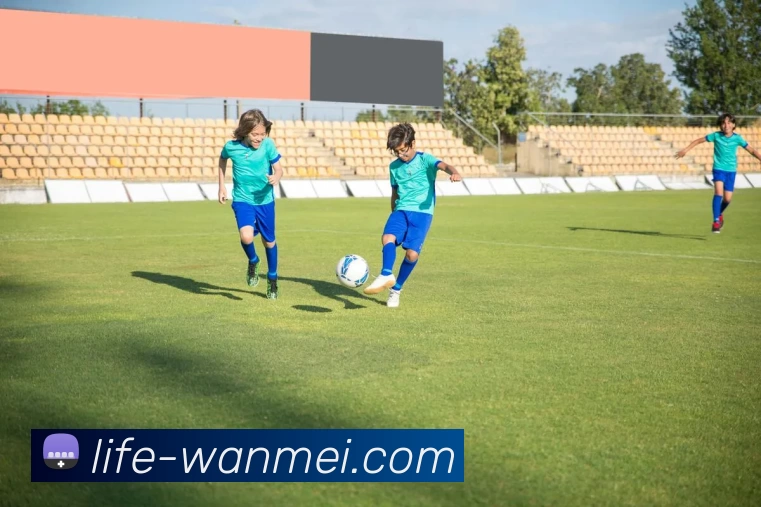 完美体育投注平台APP 高清赛事图